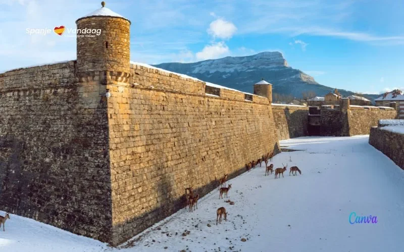 50-jarig jubileum van de herten van de Citadel-fort van Jaca