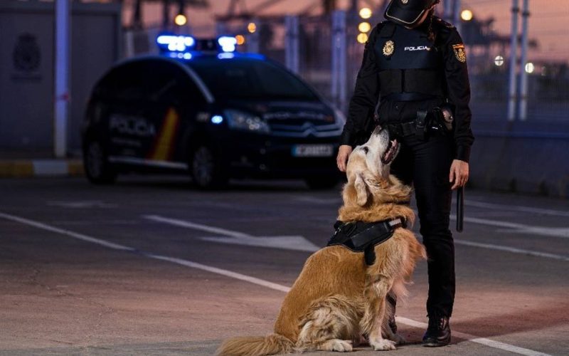 De politiehond is een bijzondere onderdeel van het korps in Aragón