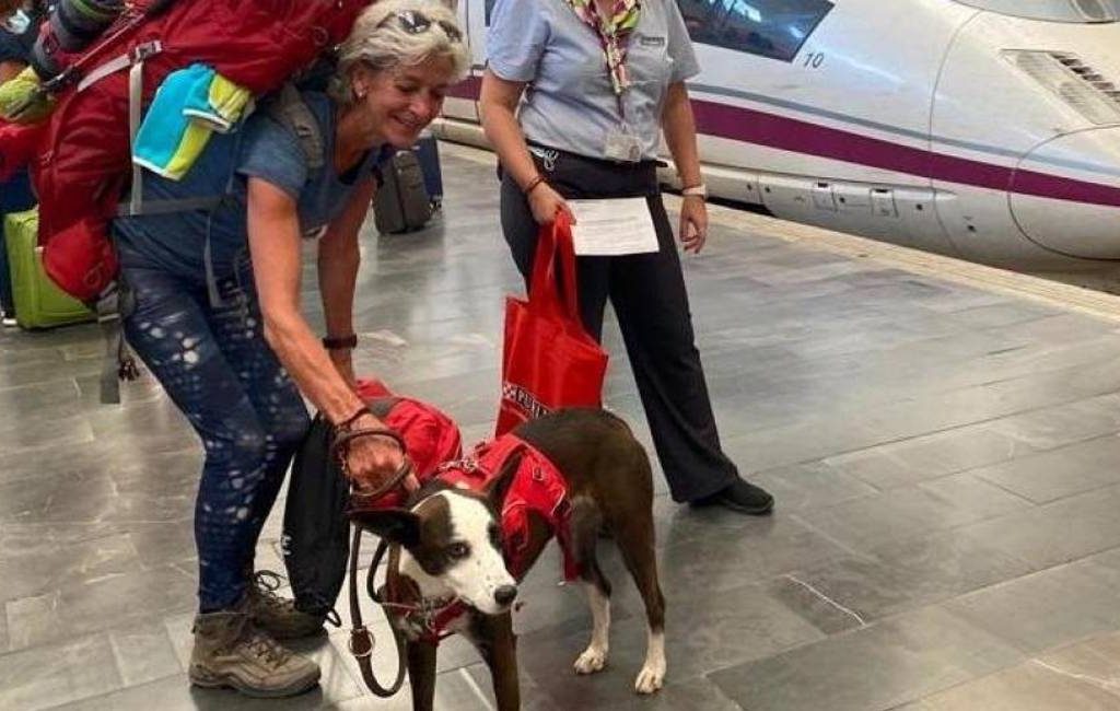 Nederlandse vrouw is de eerste AVE-treinpassagier die met ‘grote’ hond reist in Spanje