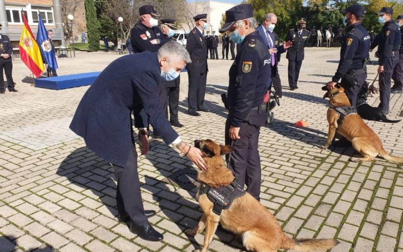 Onderscheidingen voor zes Spaanse politiehonden