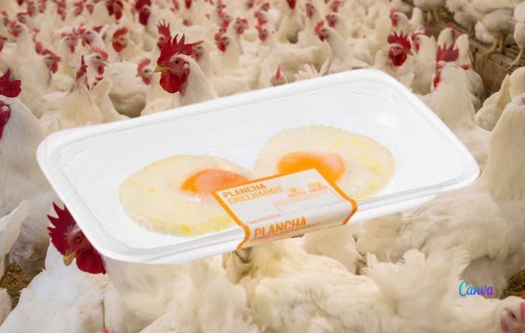 Mercadona verkoopt voor 1,80 euro twee gebakken eieren