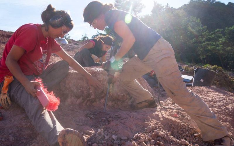 Opnieuw dinosauruseieren bij het Loarre-kasteel in Huesca gevonden