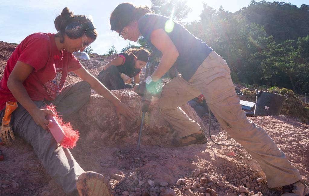 Opnieuw dinosauruseieren bij het Loarre-kasteel in Huesca gevonden