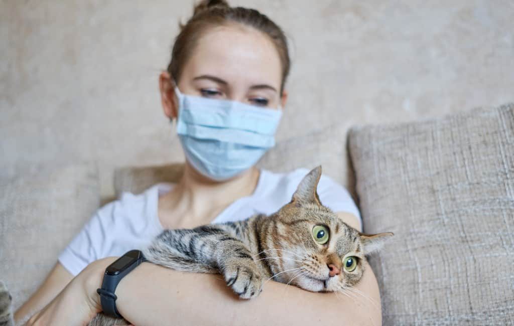Katten en honden kunnen via mensen besmet raken met het coronavirus