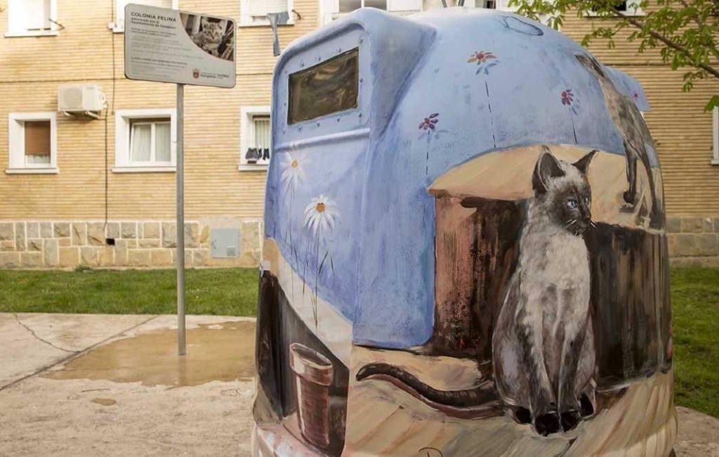 Initiatief in Granada om containers te veranderen in ‘kattenhotels’ voor straatkatten wint prijs
