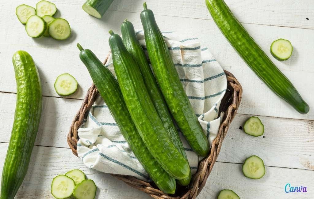Recordomzet en -export komkommers uit Spanje naar onder andere Nederland