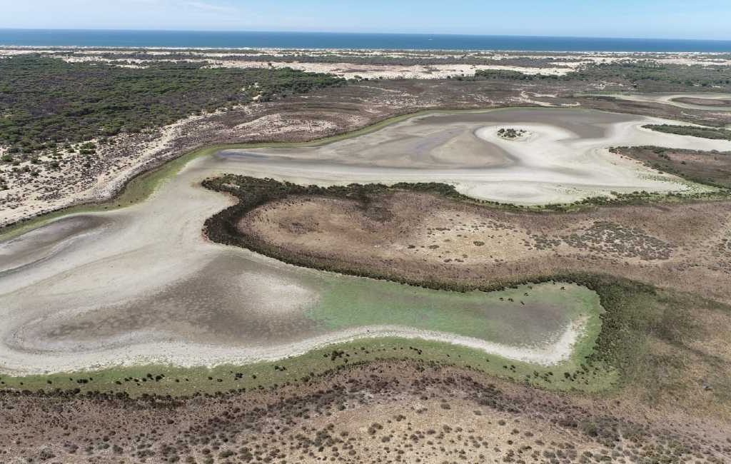 De laatste permanente lagune in Nationaal Park Doñana in Huelva is opgedroogd