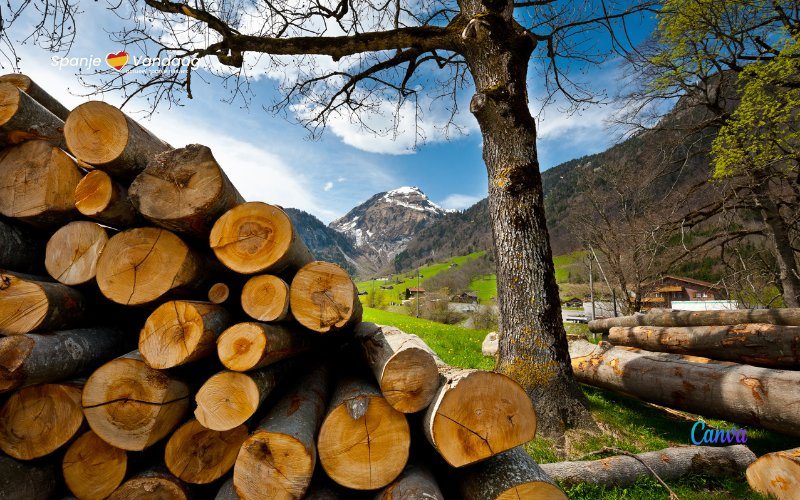 De traditionele verdeling van gemeenschappelijk brandhout of ‘las suertes’