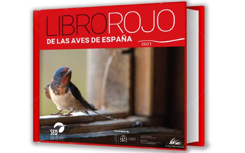 Een op de vier vogelsoorten in Spanje bedreigd