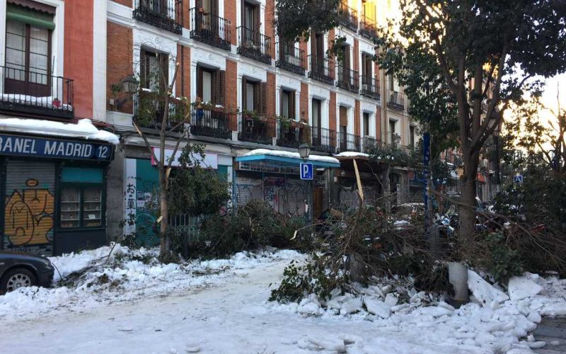 Spanje verklaart 8 regio’s tot catastrofale zones na sneeuwstorm Filomena