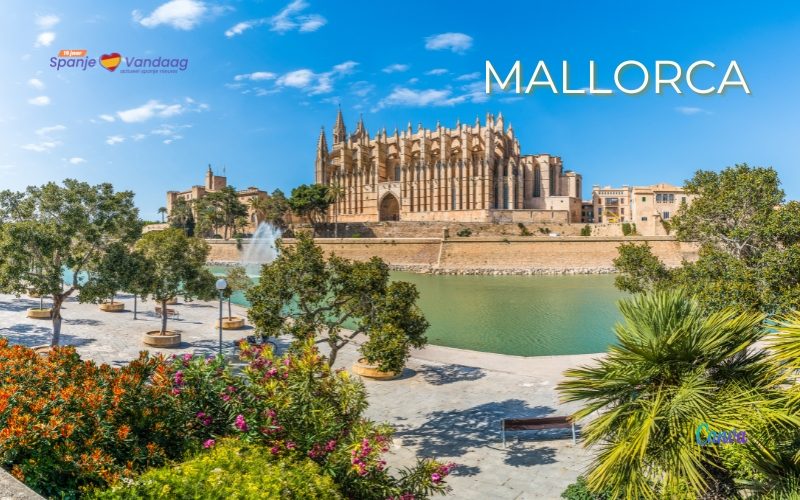 Wonen op Mallorca voor- en nadelen, beste gebieden en levensonderhoud