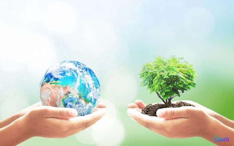 5 juni Wereldmilieudag en hoe de inwoners van Spanje denken over het milieu