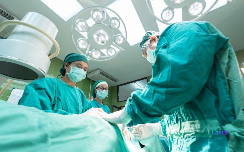 Aantal orgaandonaties en transplantaties in Spanje weer gestegen in 2022