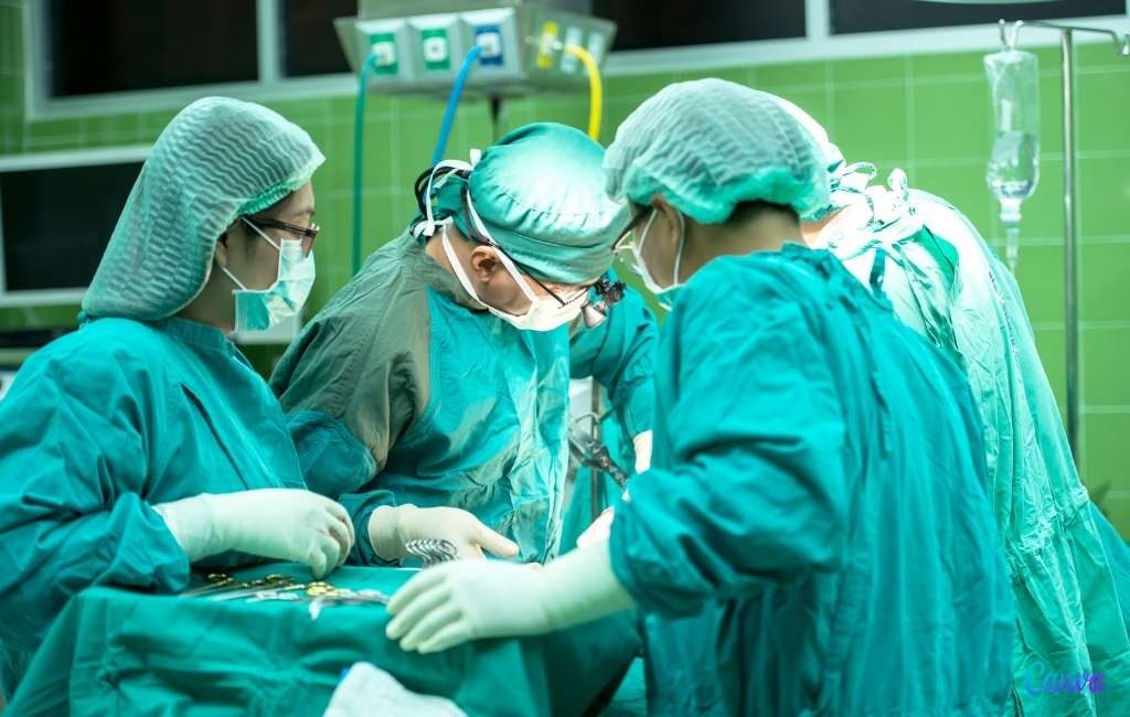 Aantal orgaandonaties en transplantaties in Spanje weer gestegen in 2021