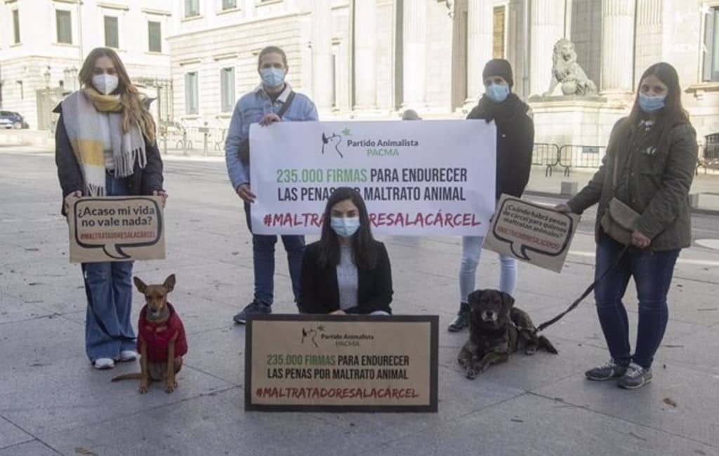 Spaanse Partij voor de Dieren wil strengere straffen voor dierenmishandelaars
