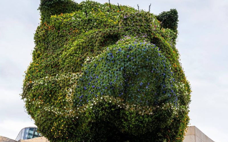 De Puppy van het Guggenheim in Bilbao Krijgt mondkapje van bloemen