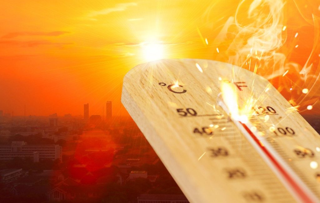Europese hitterecord verbroken: wat was de hoogste temperatuur ooit in