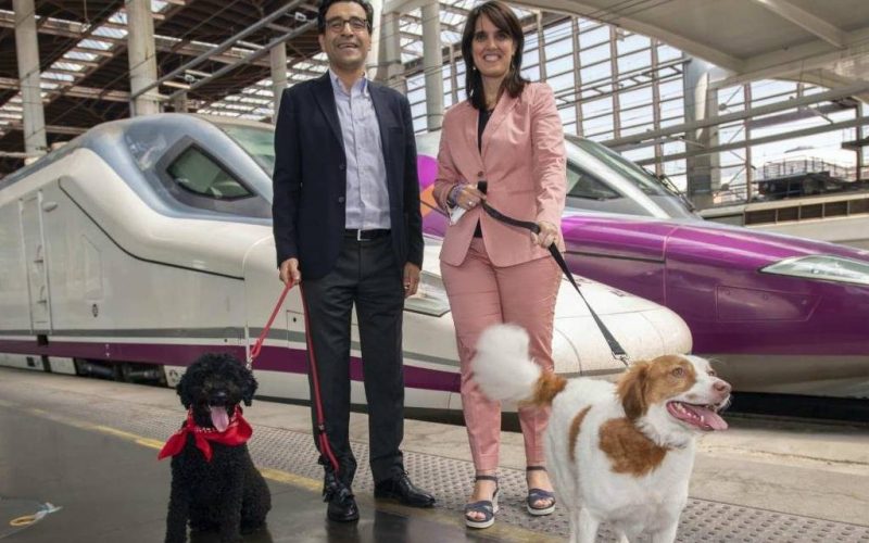 Spaanse spoorwegmaatschappij Renfe staat reizen met honden tot 40 kilo toe