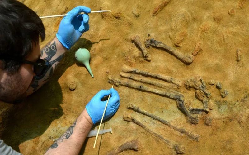 Skelet van drie miljoen jaar oude watervogel gevonden in Girona