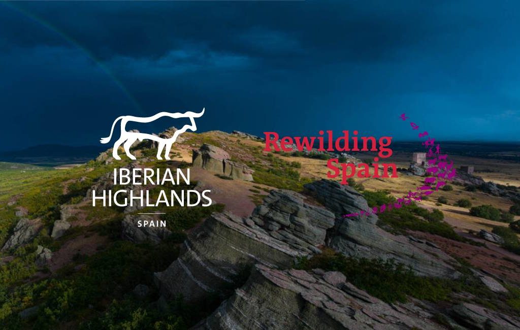 Nederlands project ‘Rewilding Europe’ kiest provincies in Spanje om wilde natuur te stimuleren