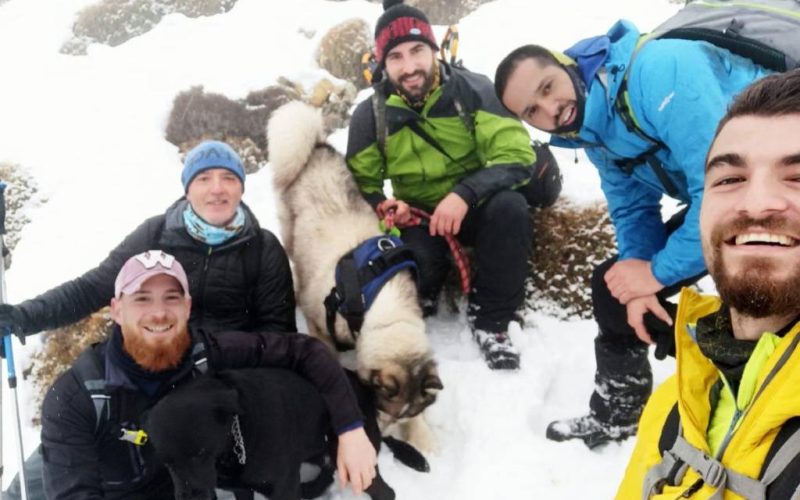 Sinds de Kerst vermiste hond middenin sneeuwstorm gered in bergen van Murcia
