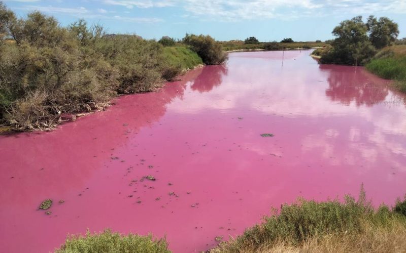 Water in de lagune van Torroella de Montgrí aan de Costa Brava is plots roze geworden