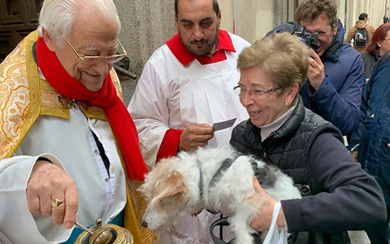 17 januari: de dag van inzegening van dieren in de kerk in Spanje met San Antonio Abad