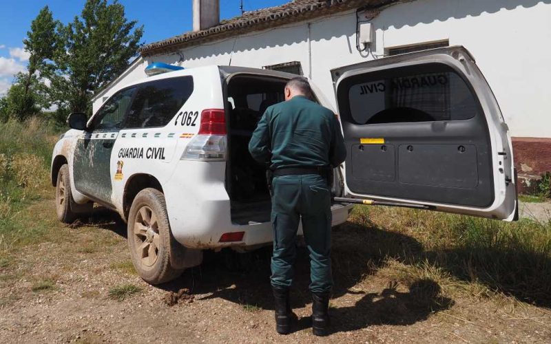 Guardia Civil neemt in Valencia meer dan 200 opgezette dieren in beslag
