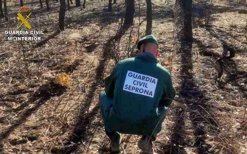 Schaapherder in Extremadura onderzocht als verdachte van acht bosbranden