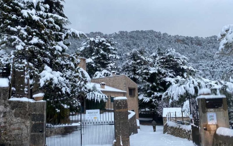 Grootste sneeuwval van afgelopen vijf jaar op Mallorca