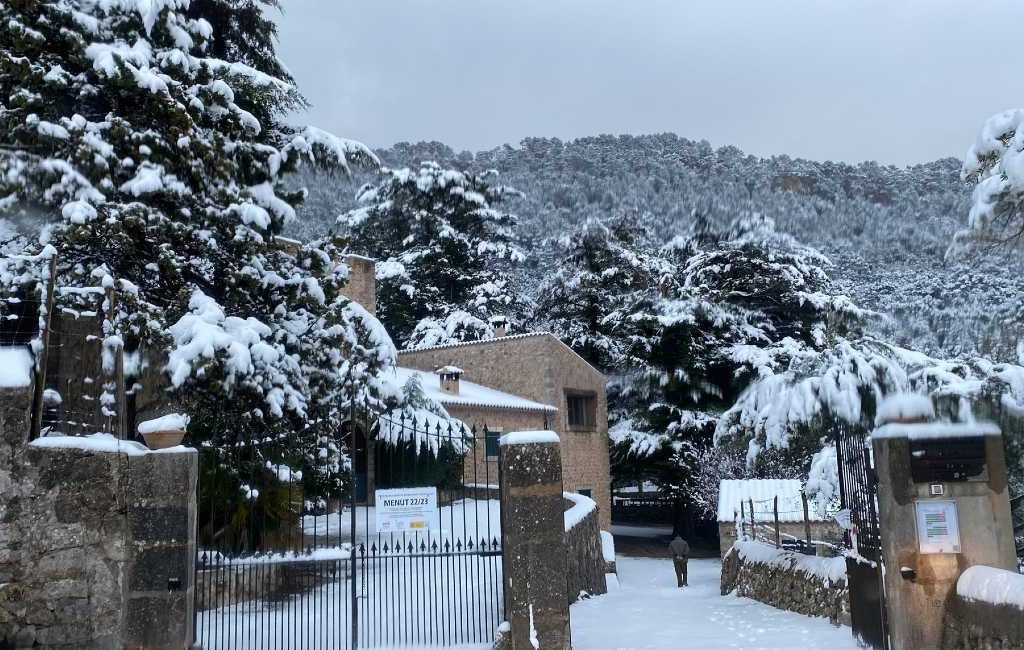 Grootste sneeuwval van afgelopen vijf jaar op Mallorca