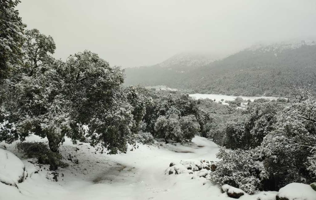 Sneeuw in het achterland van de provincie Málaga