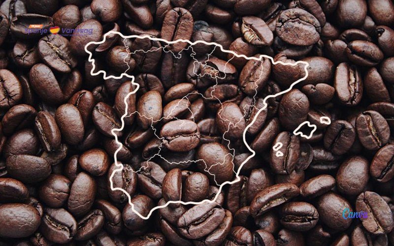 Spanjaarden consumeren gemiddeld 3,8 kilo koffie per jaar