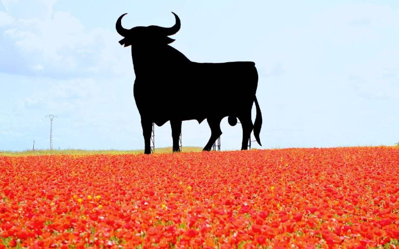 Het boegbeeld van Spanje de zwarte Osborne stier is 65 jaar oud geworden