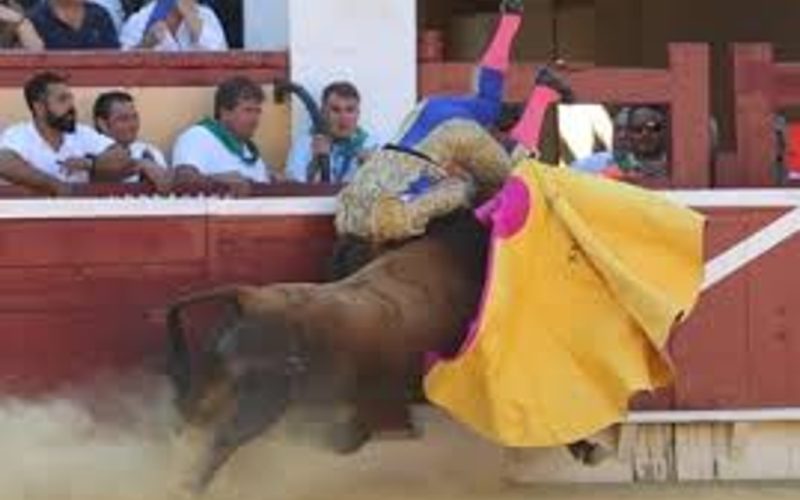 Bekende stierenvechter op de horens genomen in Huesca