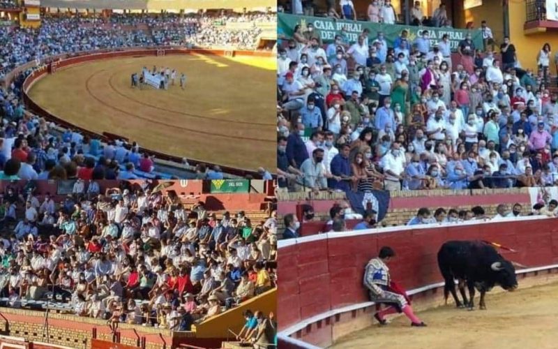Stierenvechten in Huelva zonder social distance, mondkapjes en met veel publiek