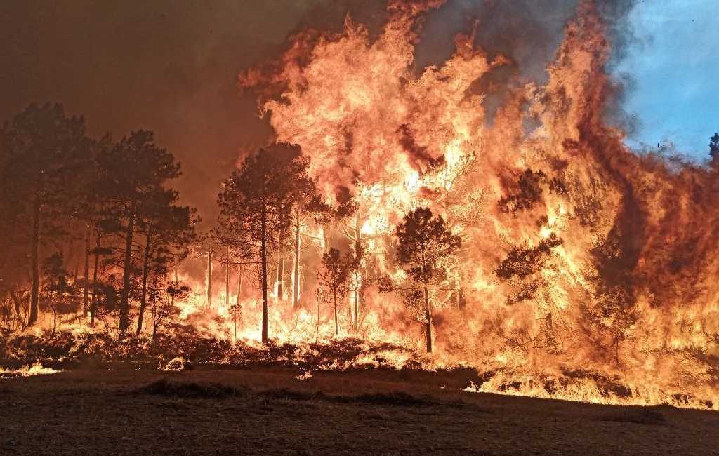 Grote bosbranden in Tarragona en Albacete met duizenden ha verwoeste natuur