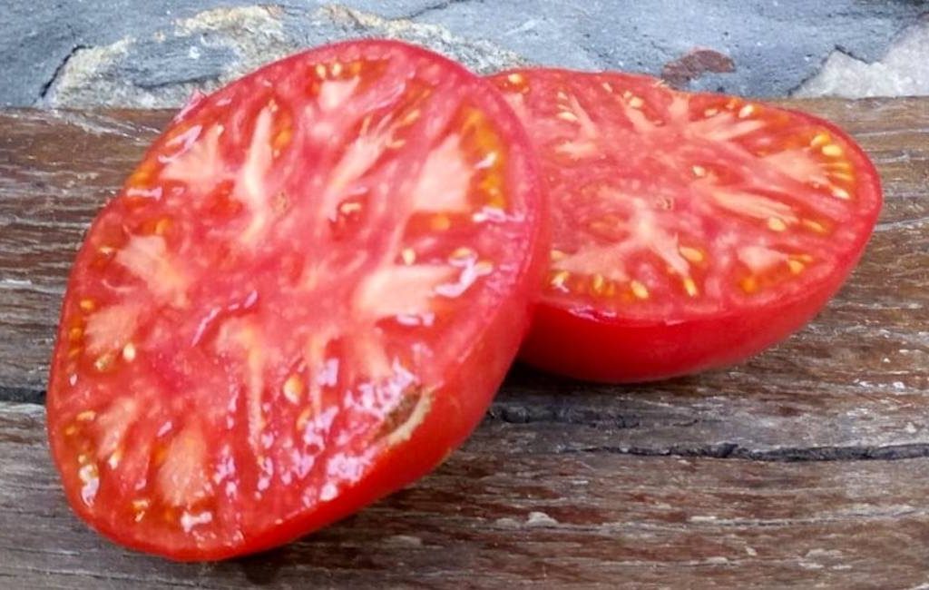 De beste tomaat van Spanje komt uit het Baskenland