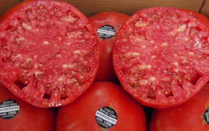Duurste tomaat van Spanje is ‘Huevo de Toro’ ofwel stierenbal uit Málaga