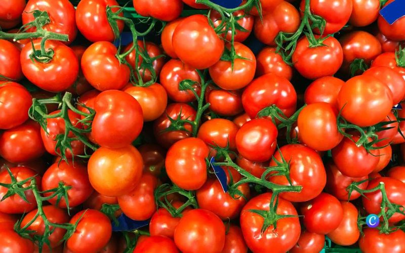 Wat heeft de grootste CO2-voetafdruk in Berlijn: kilo tomaten uit Nederland of Spanje?