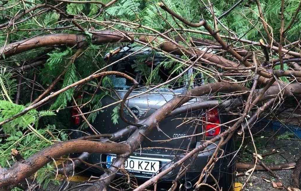 Tornado zorgt voor schade en omgevallen bomen in Marbella