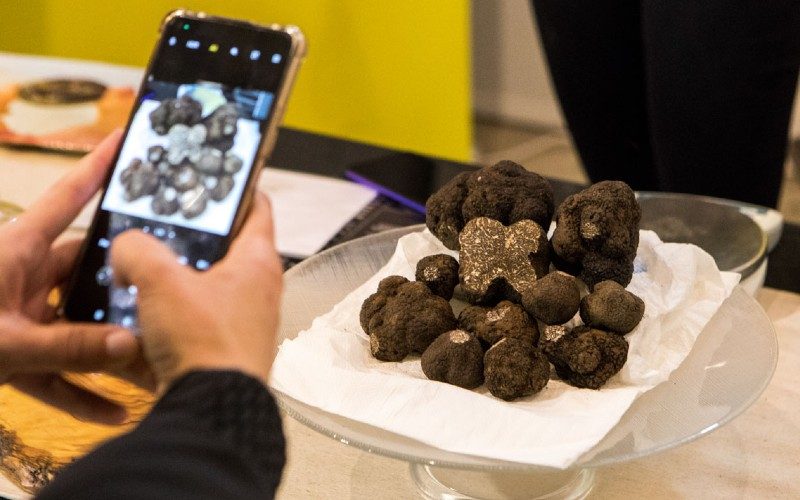 De beste zwarte truffel van Aragón werd geveild voor 16.101 euro per kilo