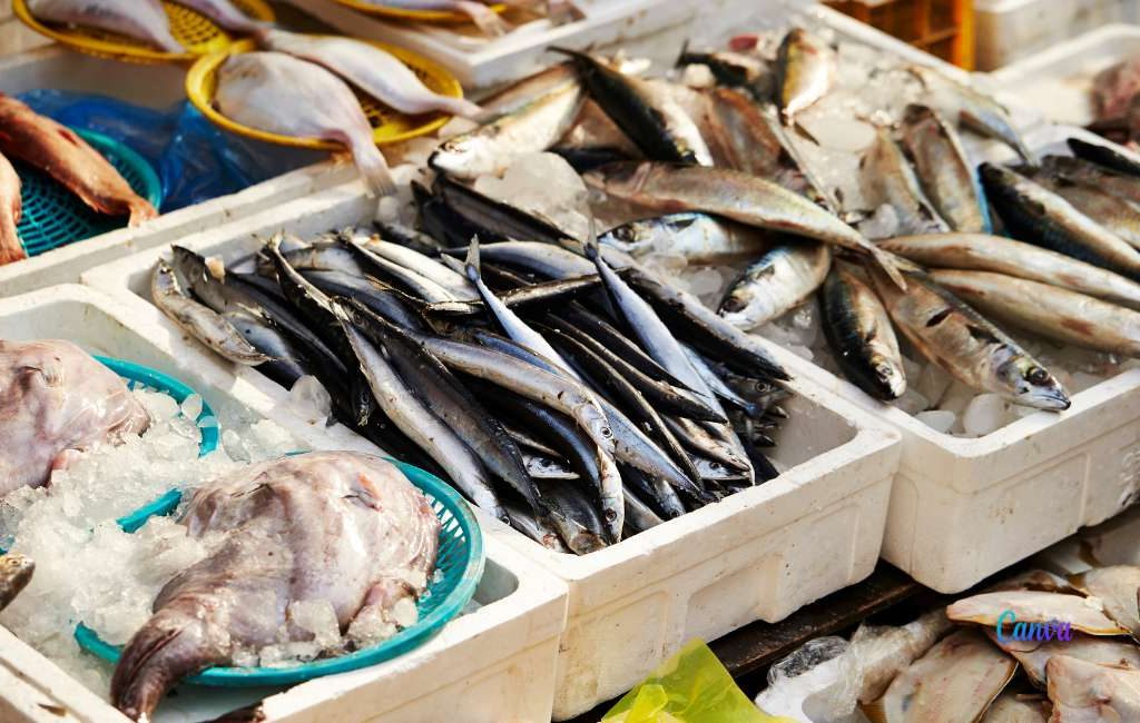 Slechts vier vissoorten uit de Middellandse Zee hebben een kwikgehalte dat gezond is voor consumptie