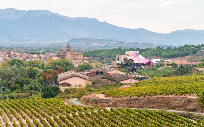 De mooiste wijnregio’s in Spanje die een bezoekje waard zijn