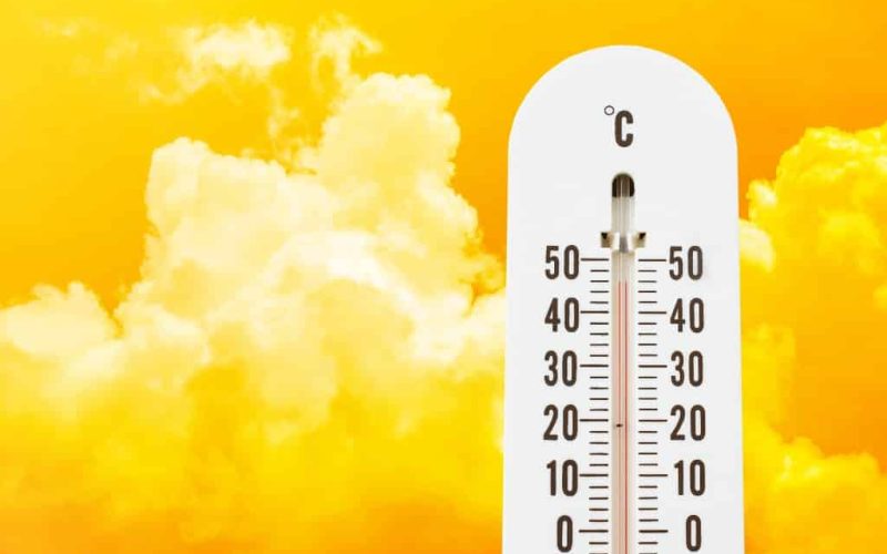 Hoogste temperatuur tot nu toe dit jaar 42 graden in Xàtiva (Valencia)