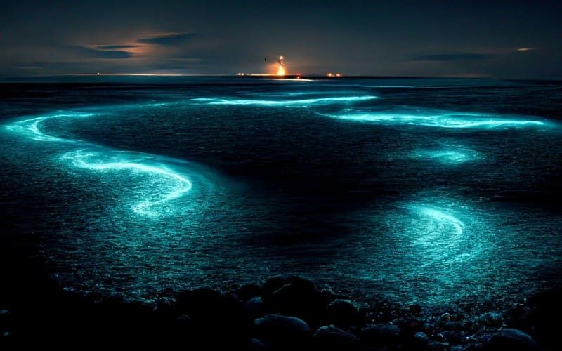 Zeewater Galicië wordt magisch verlicht door de micro-organismen van zeevonk