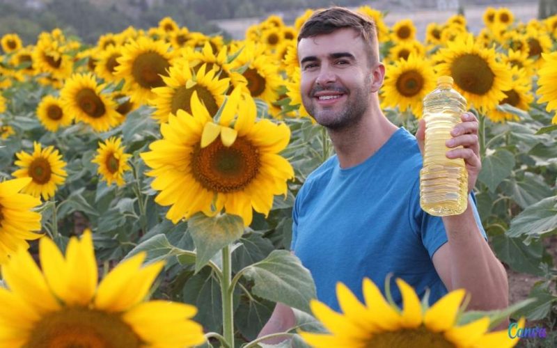 Spaanse boeren gaan meer zonnebloemen telen nu dat op braakliggend terrein is toegestaan